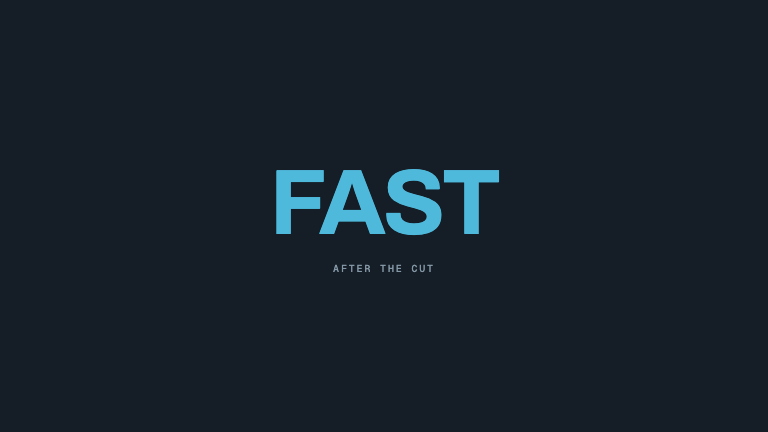 Zoom Punch Cut — A fast accelerating push-in carries a hard frame-exact cut, with the incoming scene decelerating out of an over-scaled state